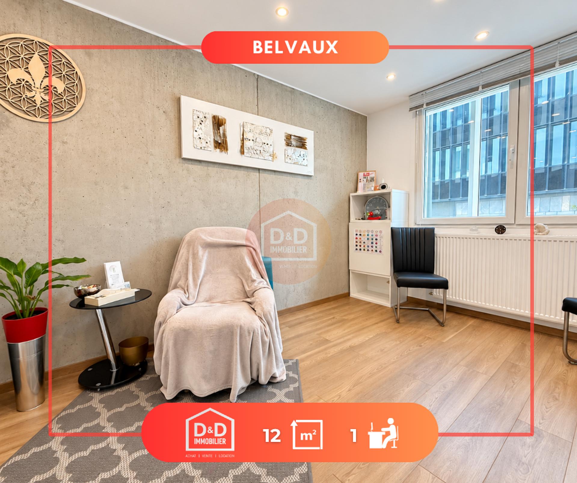 Commerce à Belvaux, 12 m², 1 chambre, 340 €/mois