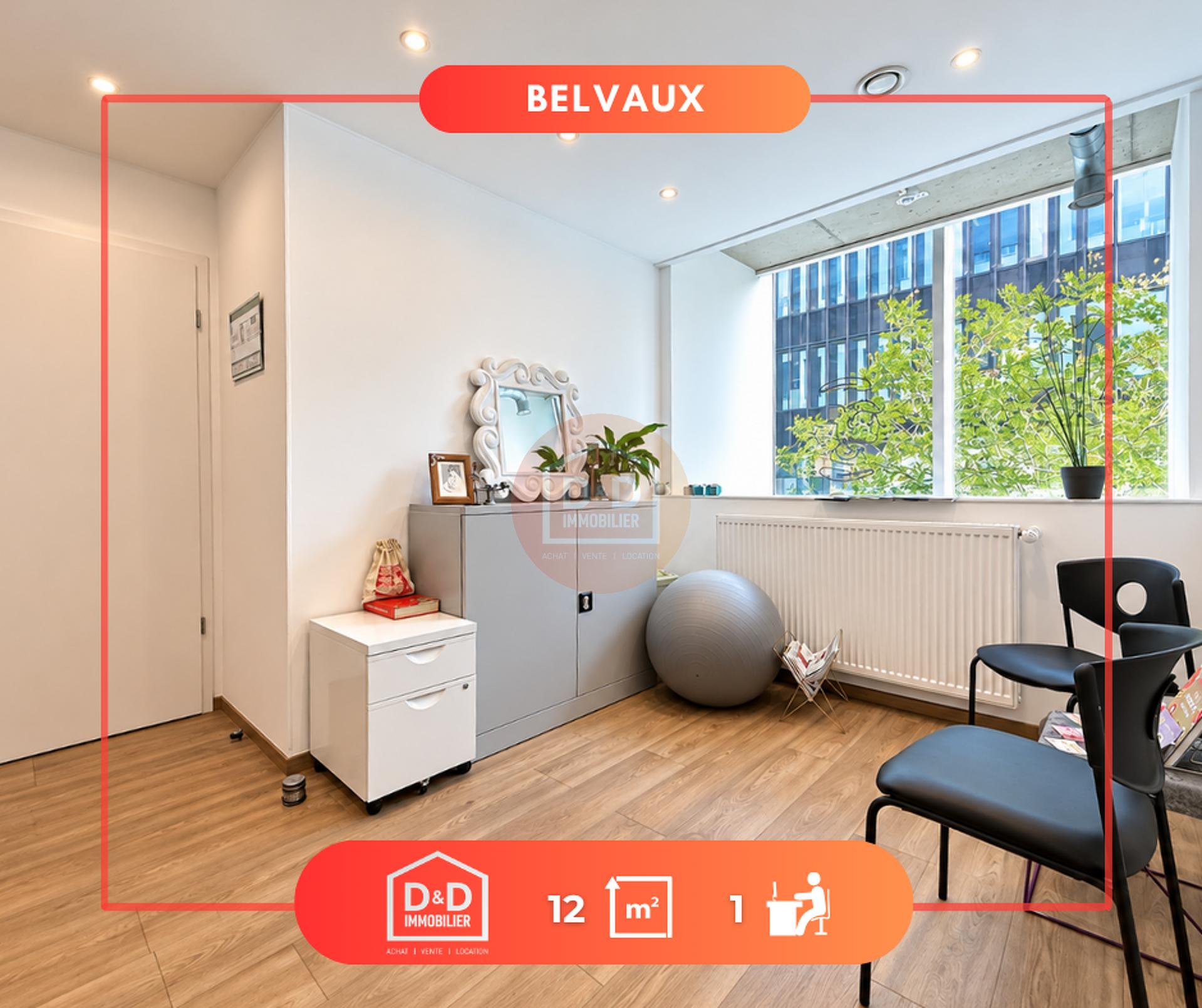 Commerce à Belvaux, 12 m², 1 chambre, 340 €/mois