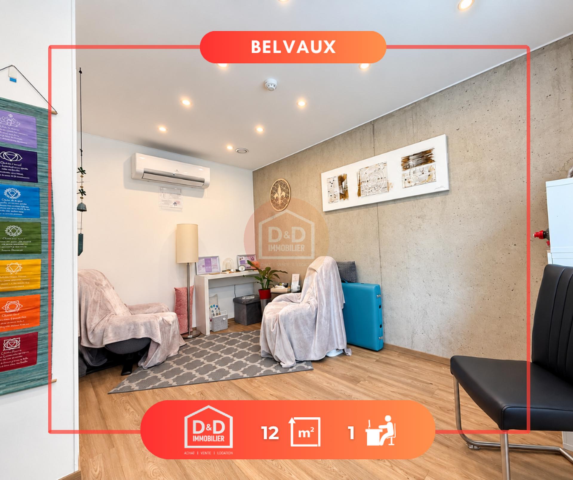Commerce à Belvaux, 12 m², 1 chambre, 340 €/mois