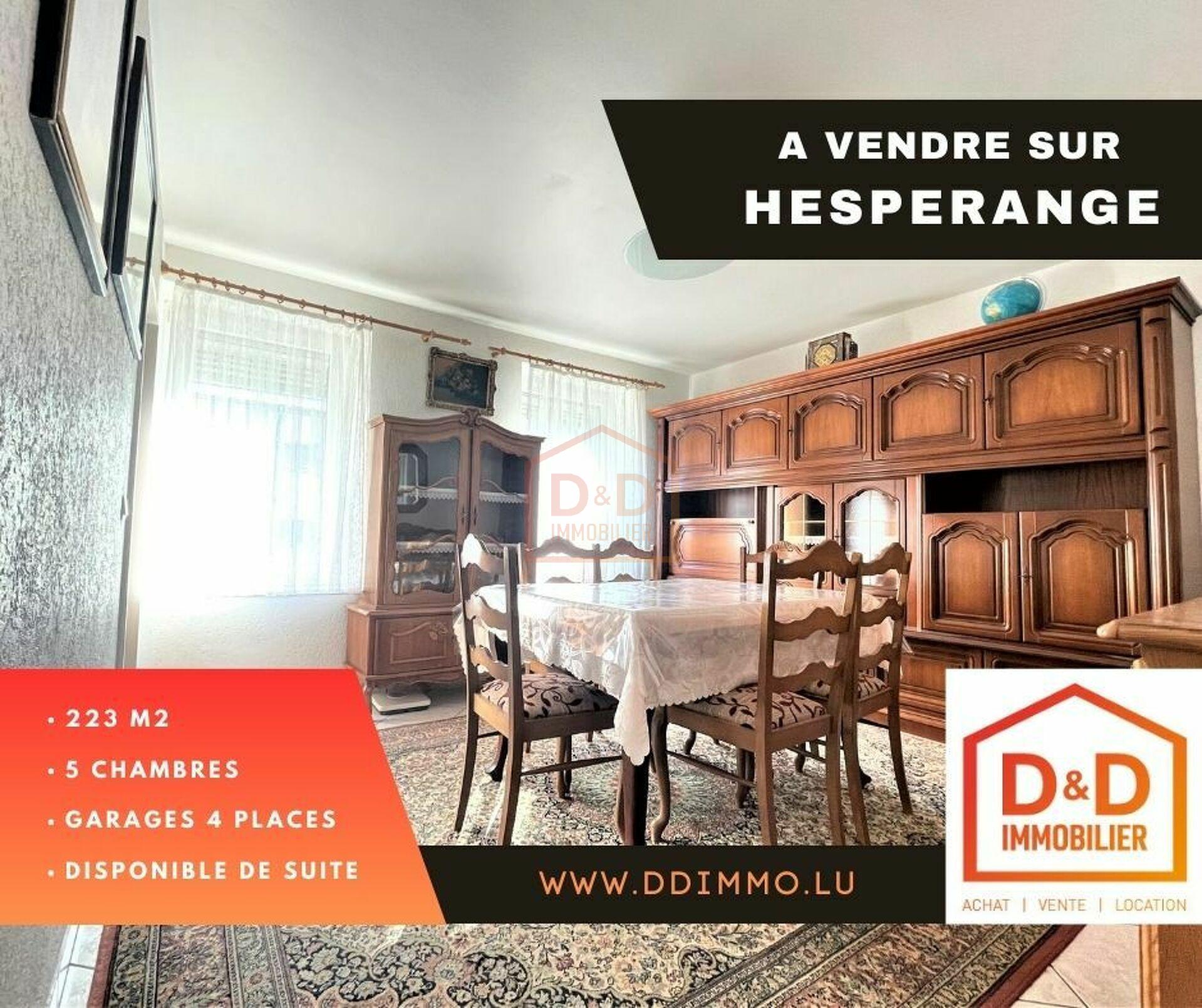 Maison à Hesperange, 223 m², 5 chambres, 2 salles de bain, 4 garages, 1 200 000 €