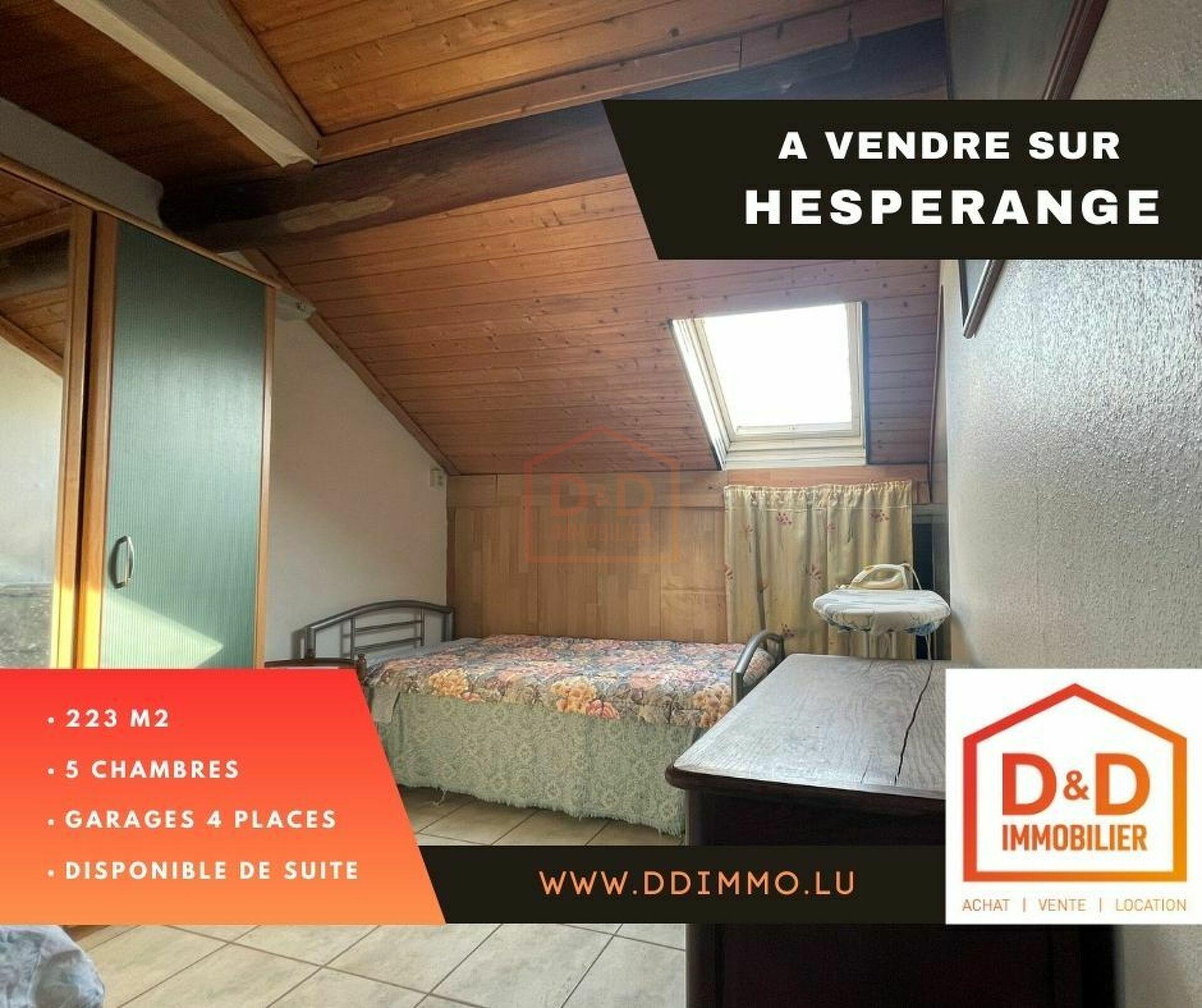 Maison à Hesperange, 223 m², 5 chambres, 2 salles de bain, 4 garages, 1 200 000 €