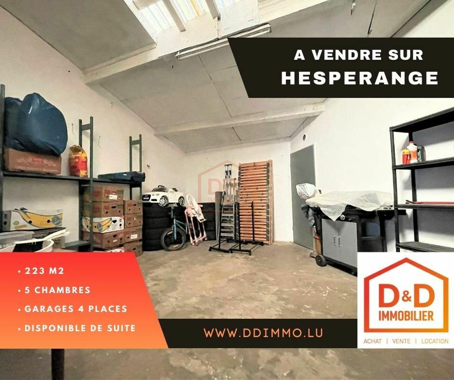 Maison à Hesperange, 223 m², 5 chambres, 2 salles de bain, 4 garages, 1 200 000 €