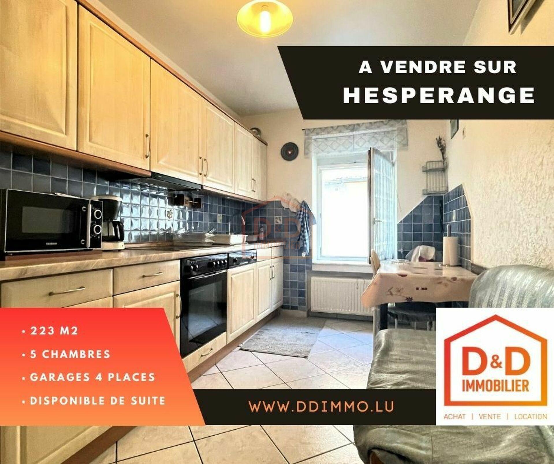Maison à Hesperange, 223 m², 5 chambres, 2 salles de bain, 4 garages, 1 200 000 €